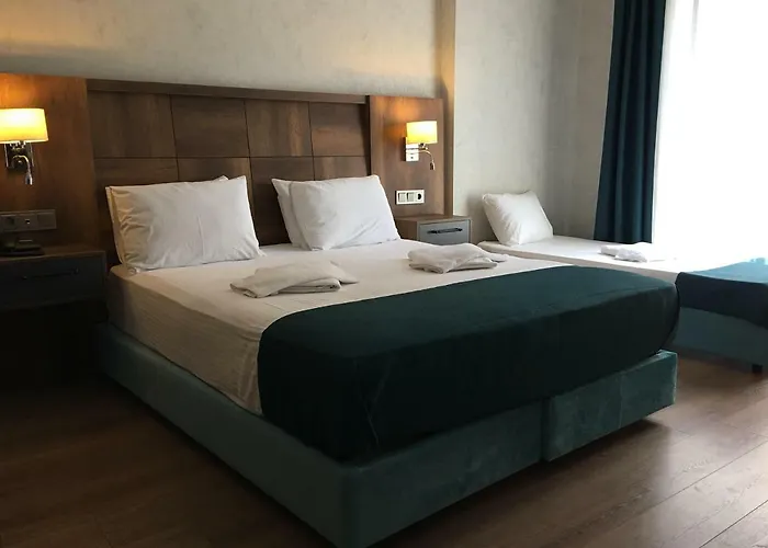 Dedehan 3* ترابزون