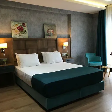 Hotel Dedehan 3*