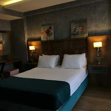 Hotel Dedehan 3*